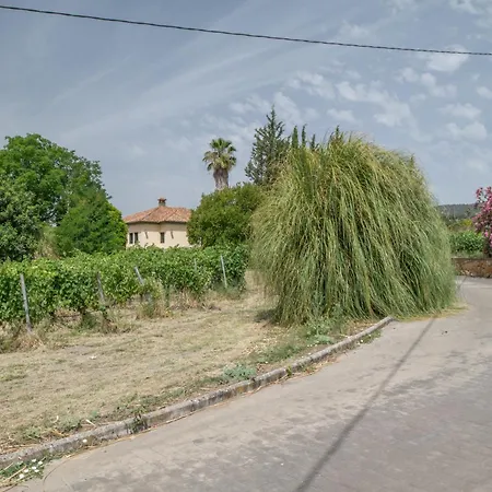 Vinas Villa *